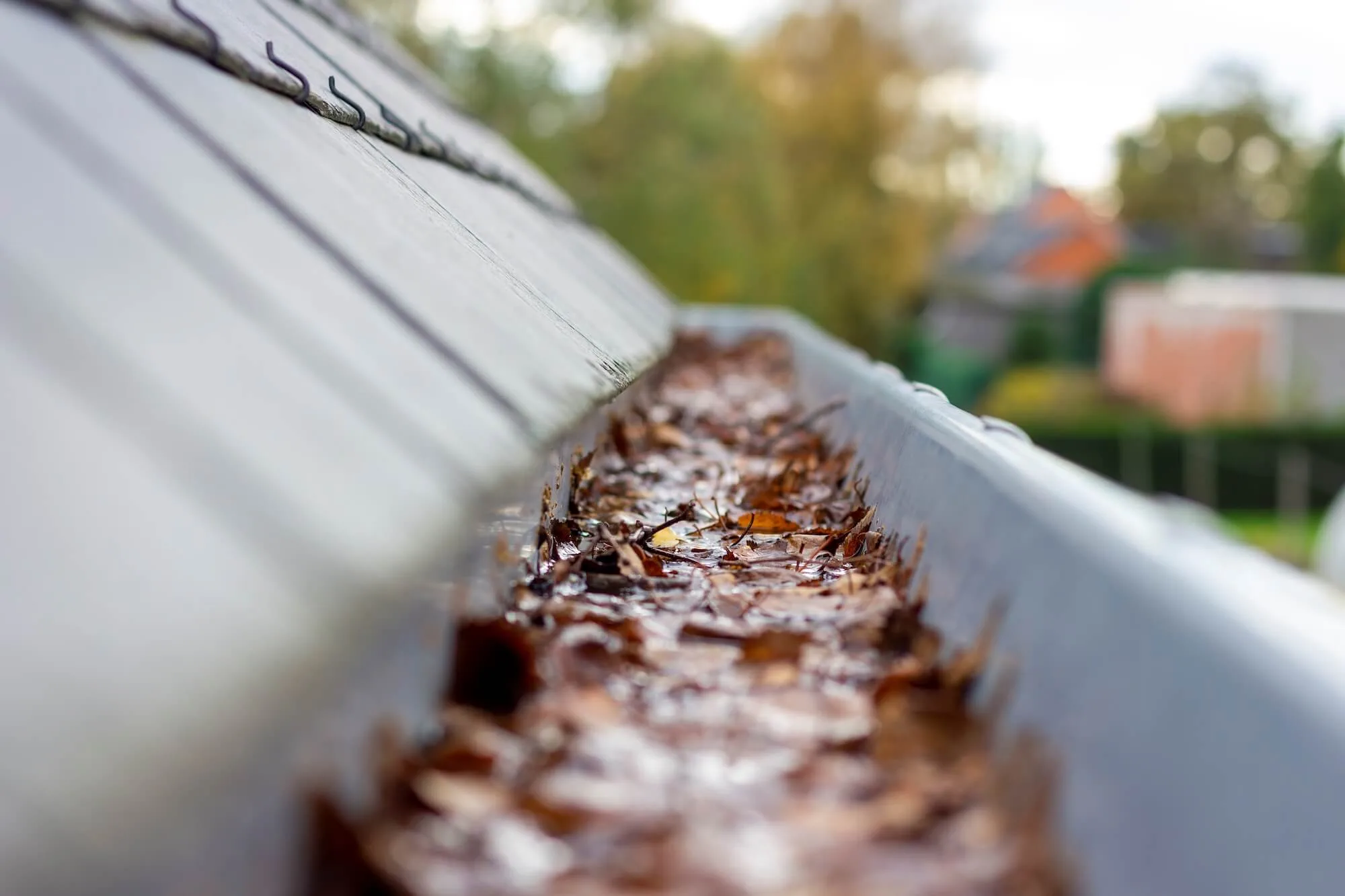 What Damage Can A Leaking and Blocked Gutter Cause?