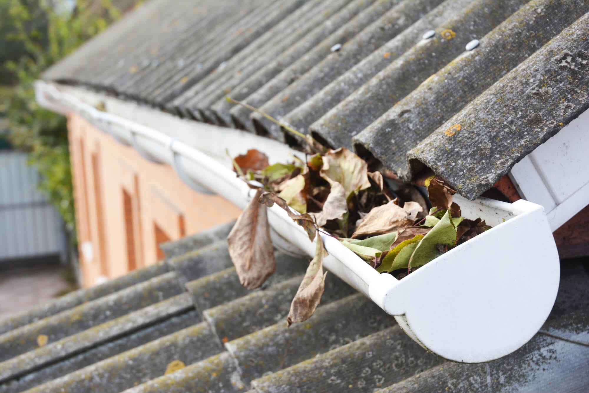 When is the Best Time to Have Your Gutters Cleaned?