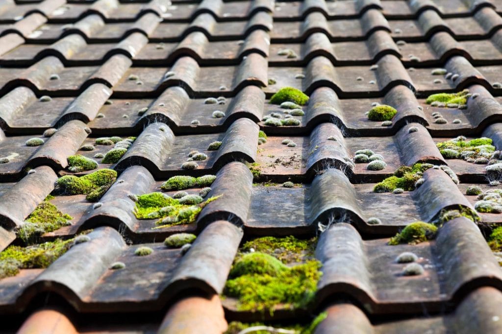 How To Clean Moss Off Roof