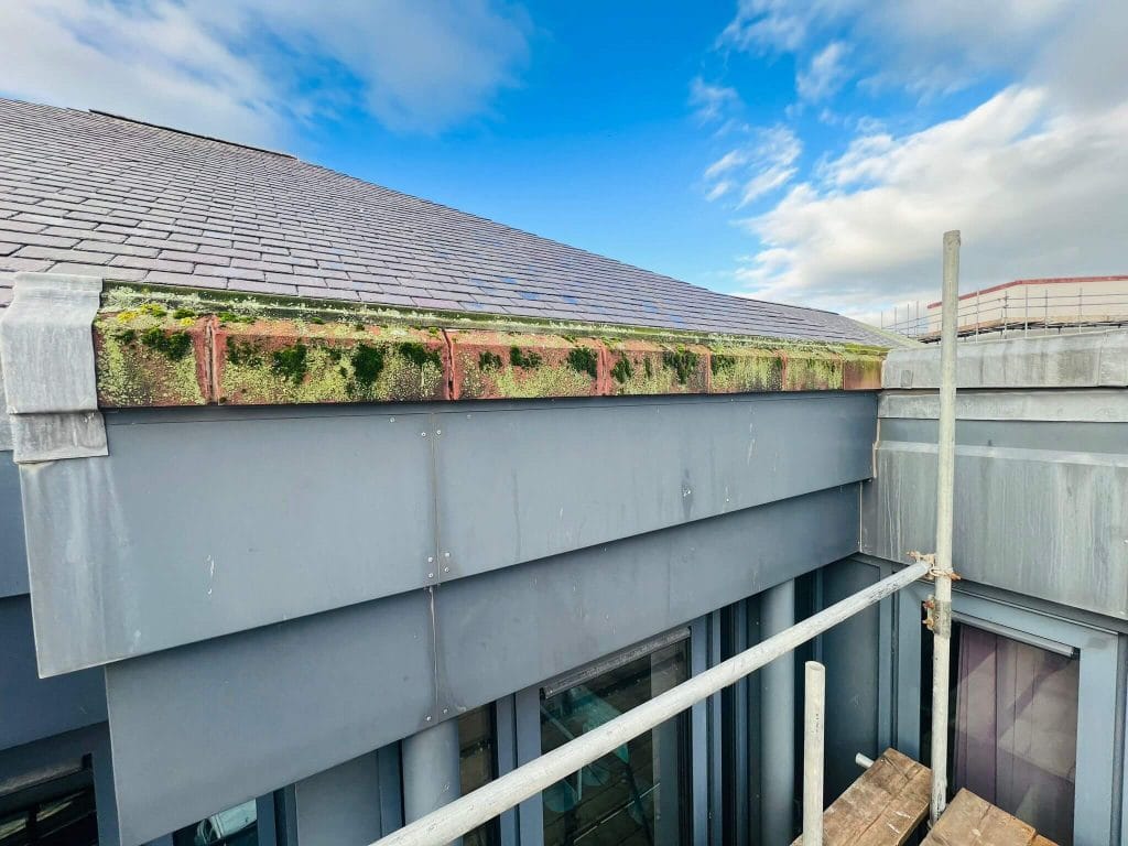 Why Exterior Surfaces Get Dirty: The Most Common Contaminants Explained