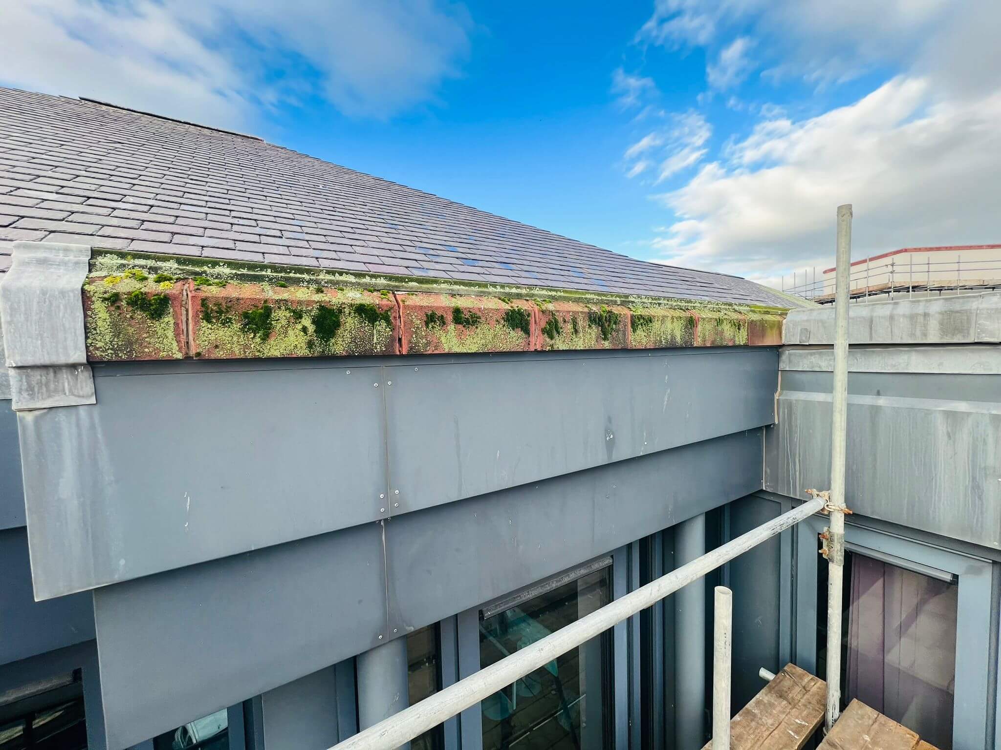 Why Exterior Surfaces Get Dirty: The Most Common Contaminants Explained