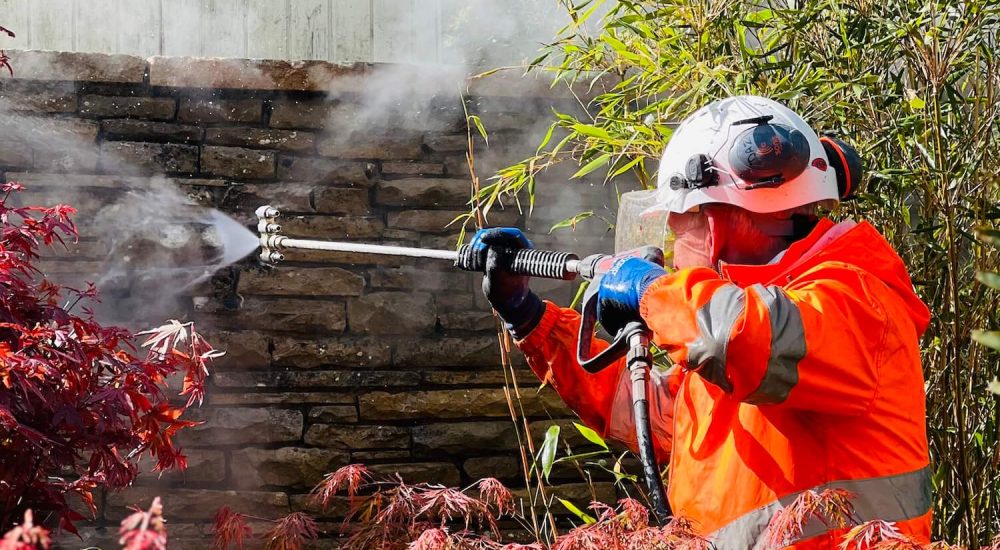 Professional Pressure Washing