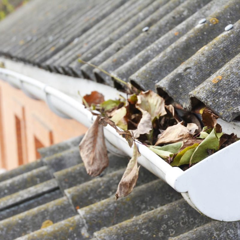 Residential Gutter Cleaning North Wales
