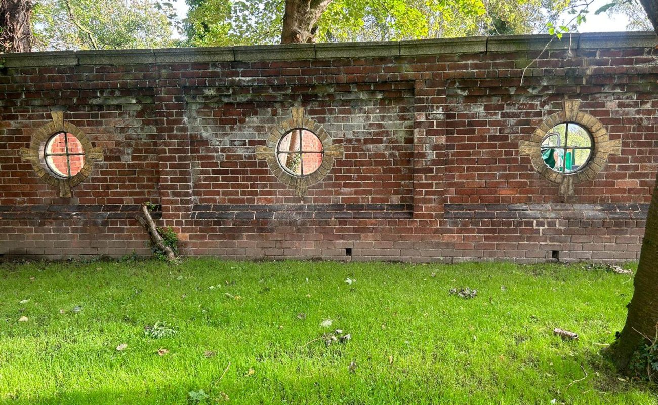 Steam Cleaning Before