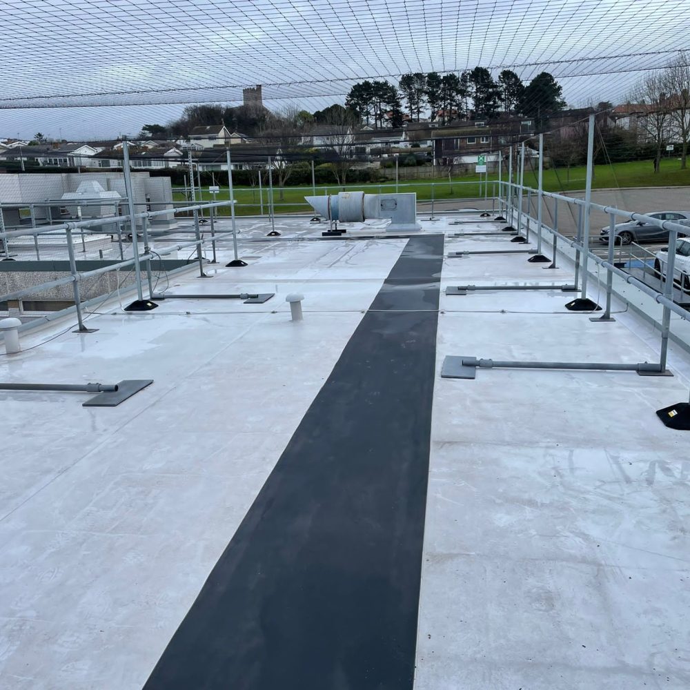 Bangor Roof Cleaning
