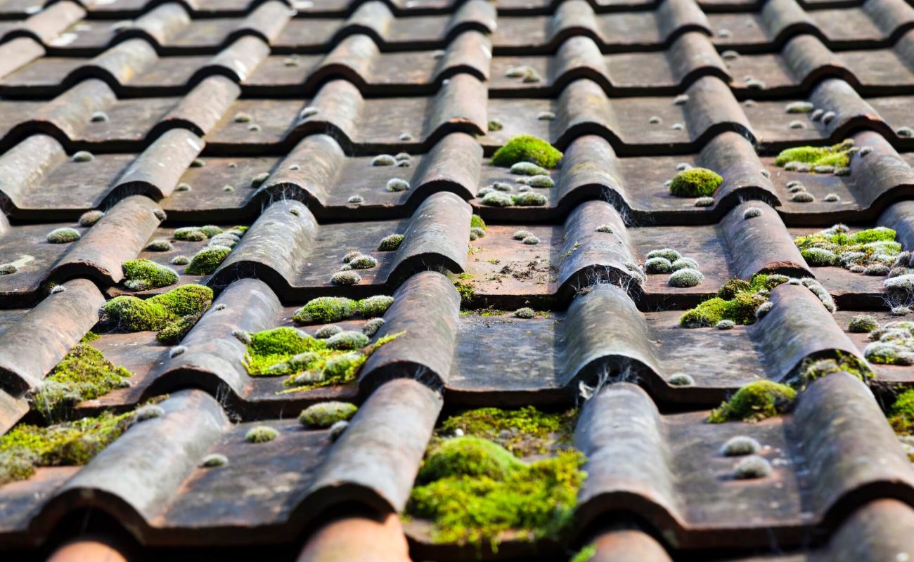 How To Clean Moss Off Roof